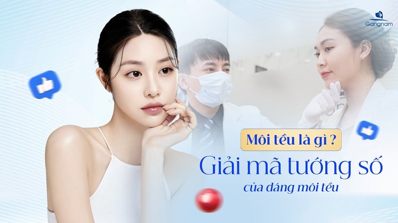 Môi tều là gì? Môi tều đẹp hay xấu? 5 Môi tều là gì?
