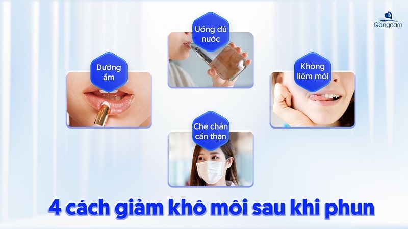 Phun môi xong bị khô phải làm sao? 5 Phun môi xong bị khô