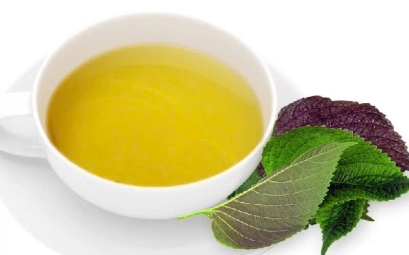 Cách trị nám bằng lá tía tô tại nhà đơn giản nhưng hiệu quả 6 Trị nám bằng lá tía tô