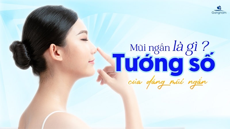 Mũi ngắn là gì? Tướng số mũi ngắn như thế nào? 5 Mũi ngắn là gì?