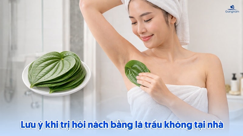 Top 5 cách trị hôi nách bằng lá trầu không tại nhà 6 Cách trị hôi nách bằng lá trầu không