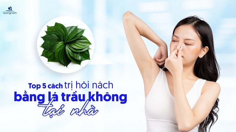 Top 5 cách trị hôi nách bằng lá trầu không tại nhà 4 Cách trị hôi nách bằng lá trầu không