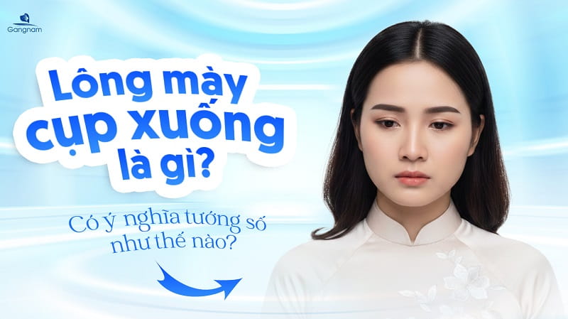 Dáng lông mày cụp xuống là gì? Có ý nghĩa tướng số như thế nào? 4 lông mày cụp xuống là gì?