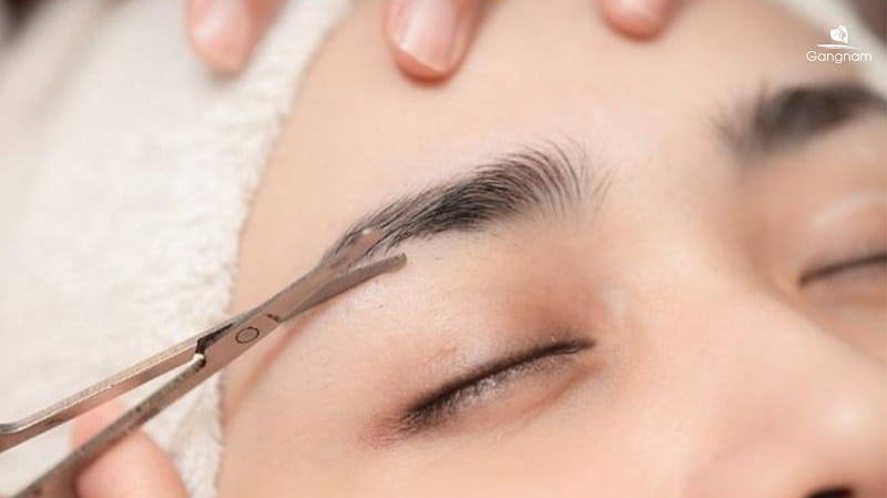 Lông mày sâu róm là gì? Đẹp hay xấu? 7 Lông mày sâu róm là gì?