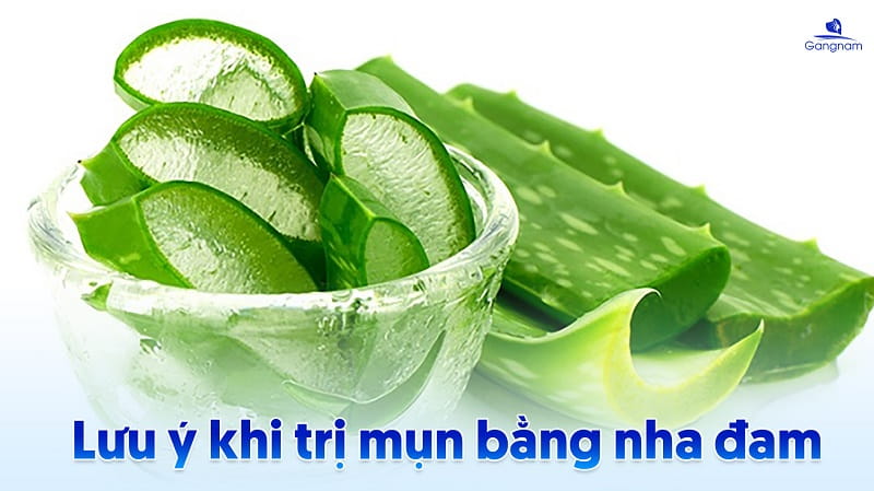 Top 9 cách trị mụn bằng nha đam hiệu quả tại nhà 8 Cách trị mụn bằng nha đam