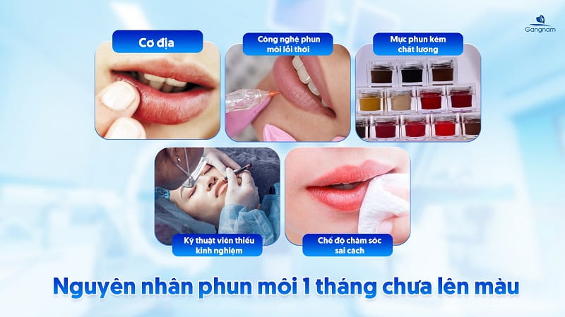 Phun môi 1 tháng chưa lên màu phải làm sao? 6 Phun môi 1 tháng chưa lên màu