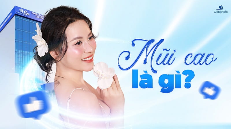 Mũi cao là gì? Tướng mũi cao có tốt không? 6 Mũi cao là gì?